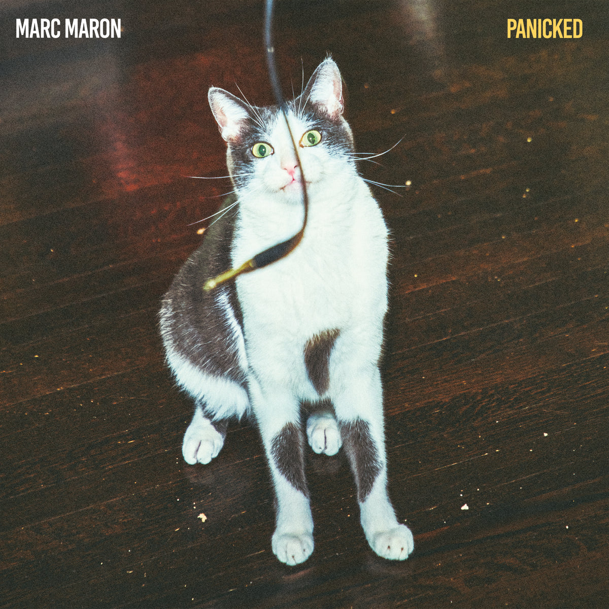 MARC MARON - PANICKED - DOUBLE LP VINYL
